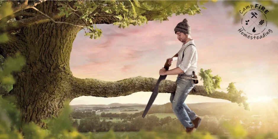 The Elephant in the Room: Self-Sabotage 