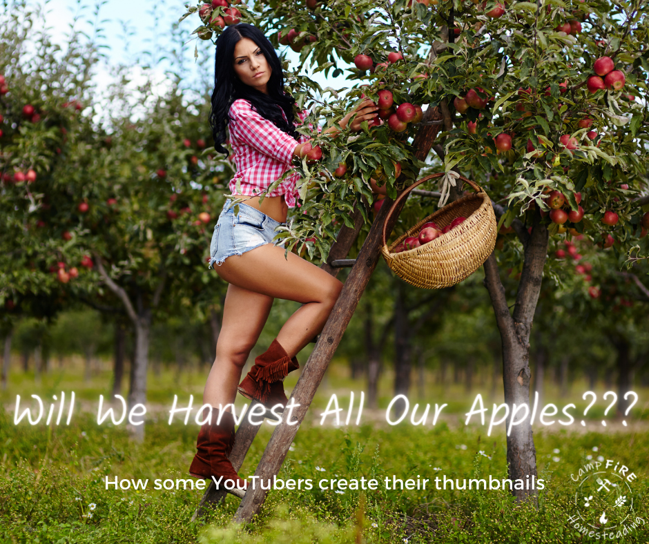 You can't afford this right now... (3).png