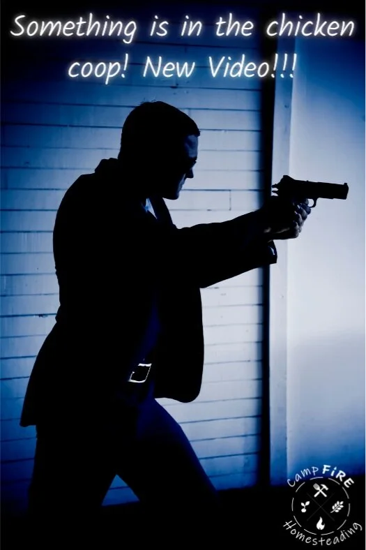 On the next Mission Homestead, Jack Hower must eliminate a new enemy that threatens his Chicken Coop.