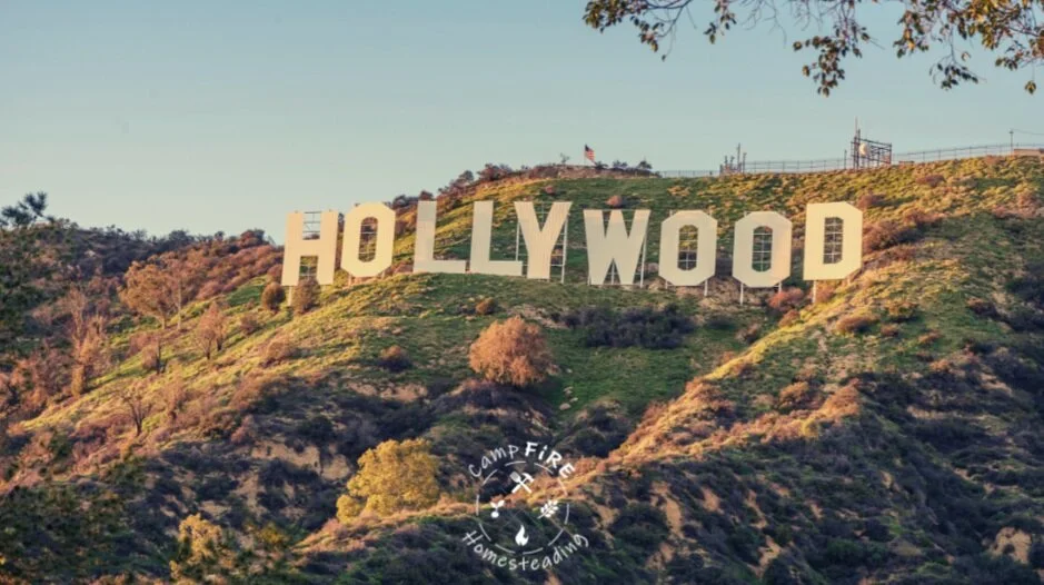 Homesteading Infotainment: The Hollywoodification of the Homestead