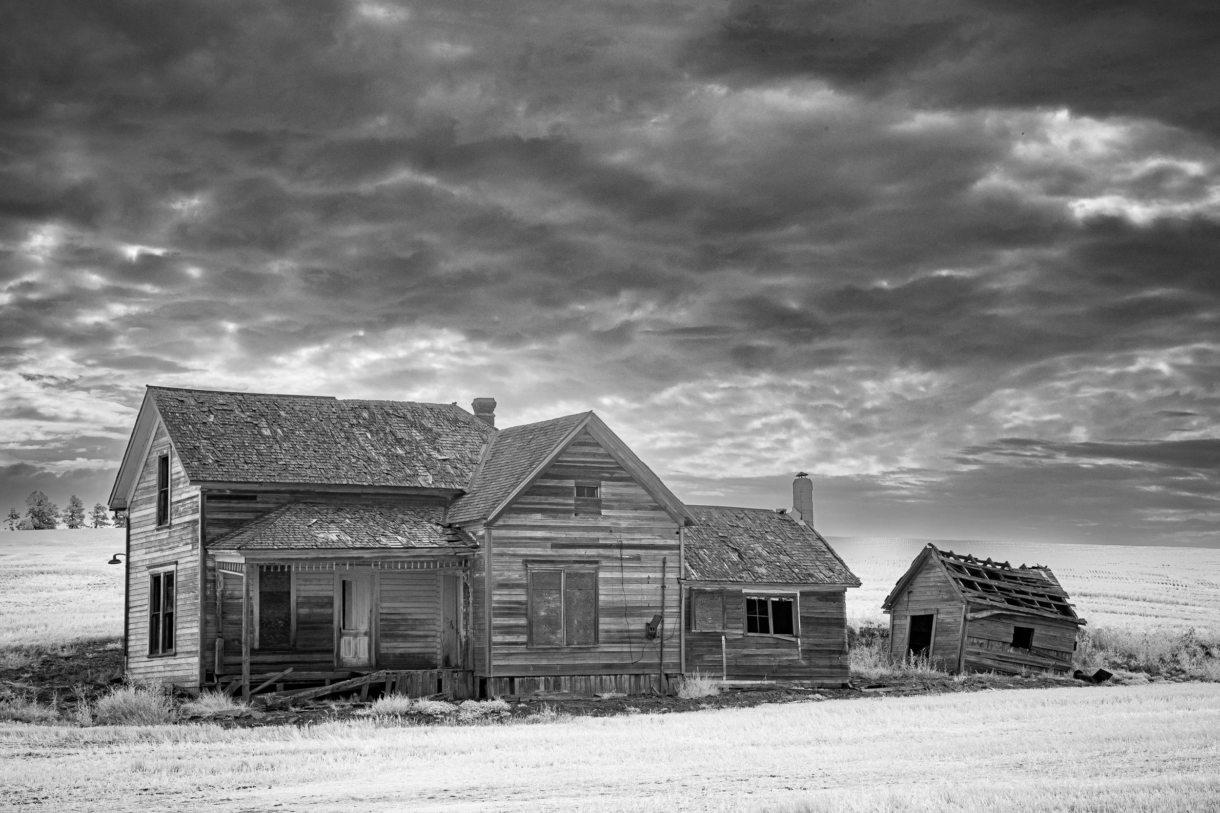 Abandoned Home, Palouse Area in WA         Y08-1859   