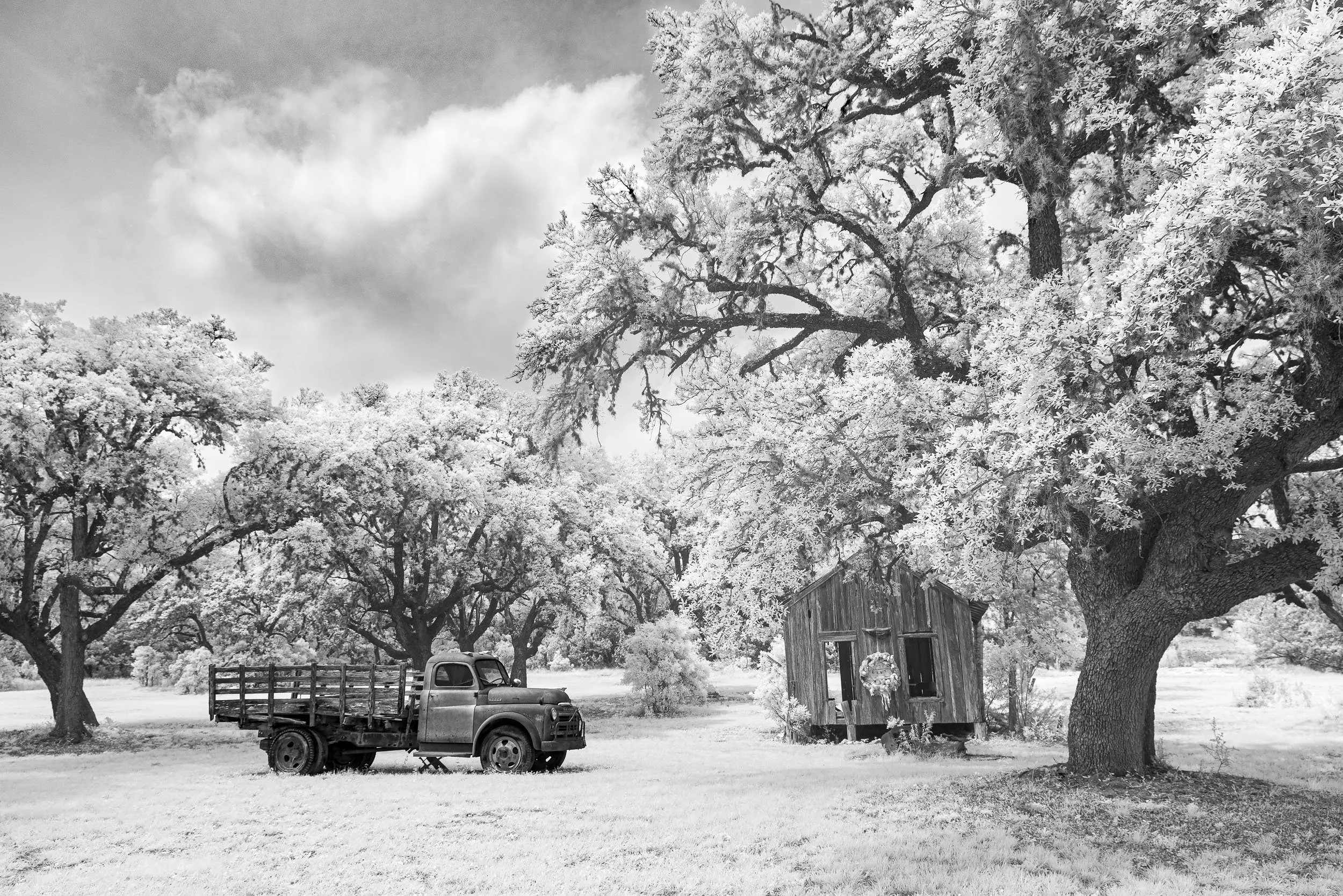 Working on the Twisted Sisters, Texas Hill Country.  2604-1731
