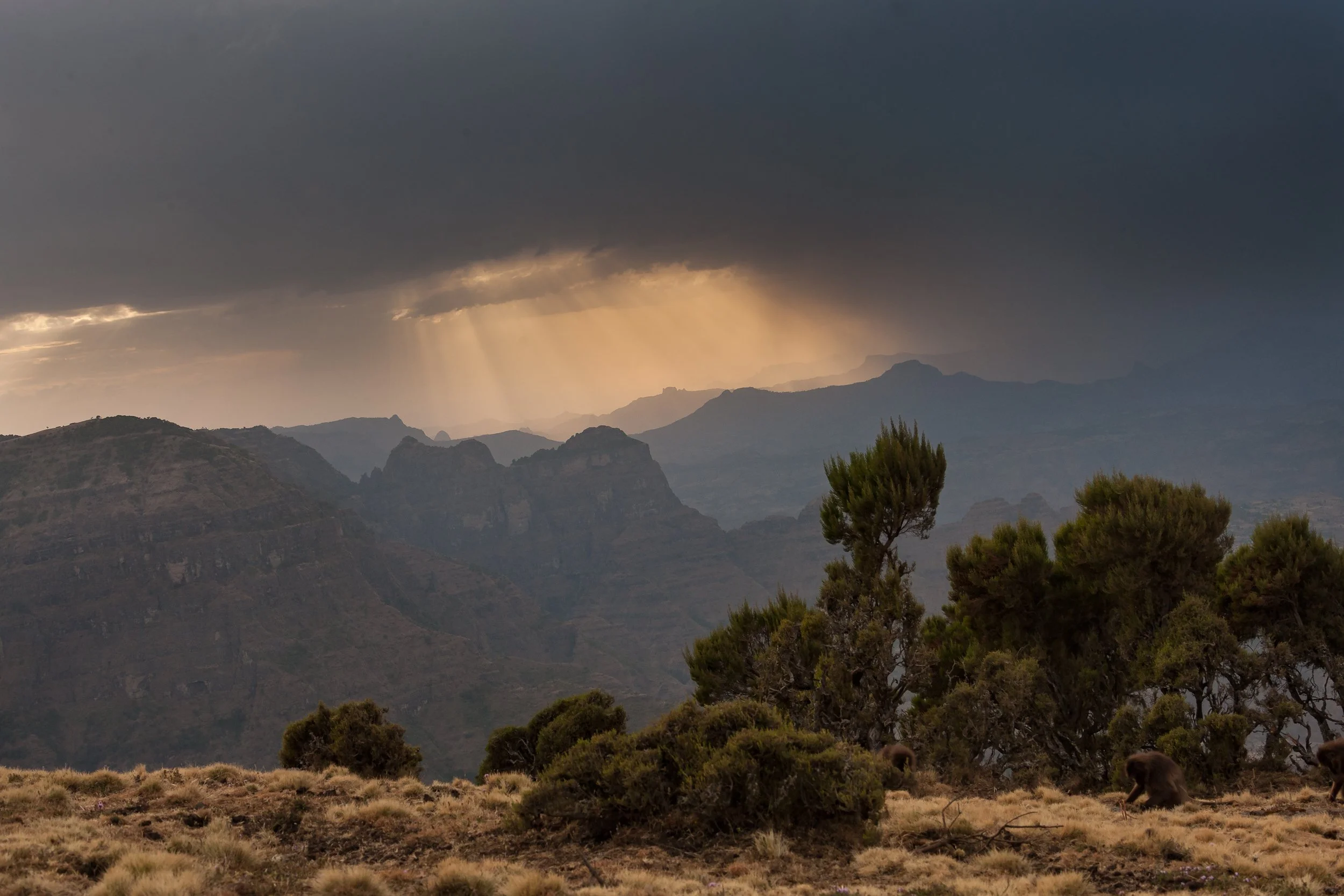 Sunrise, Simien Mountains, Ethiopia   K02-2803