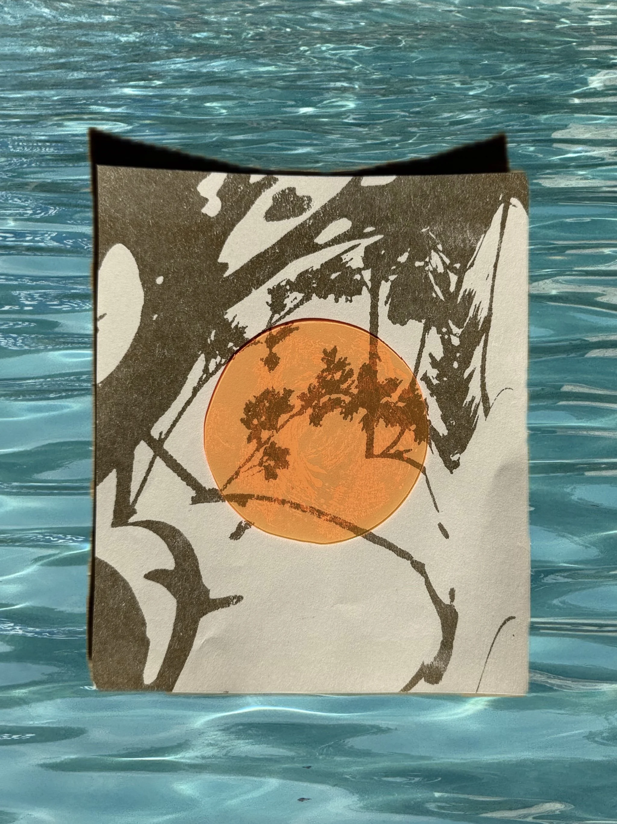 Untitled_Artwork 29.jpg