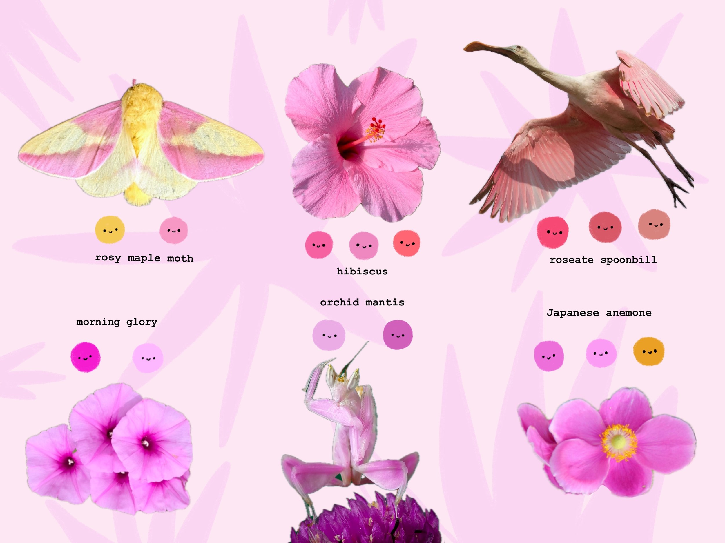 Untitled_Artwork 66.jpg