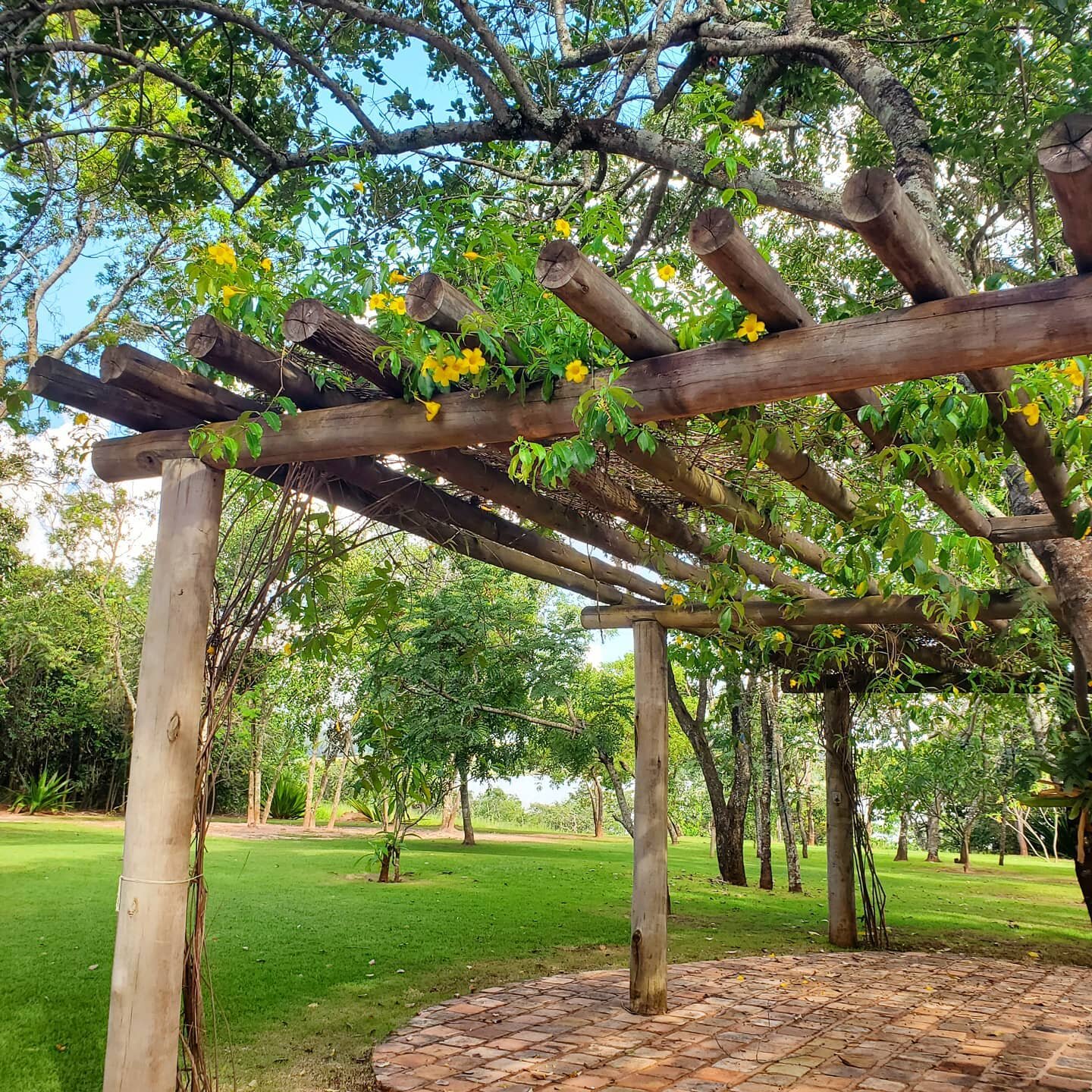 Aqui no S&iacute;tio Caju incentivamos uma arquitetura que integra a sua casa &agrave; natureza 
Este pergolado de eucalipto tratado &eacute; um maravilhoso exemplo dessa integra&ccedil;&atilde;o 
.
.
.
.
.
#sitiocaju #delfin&oacute;polis #minasgerai
