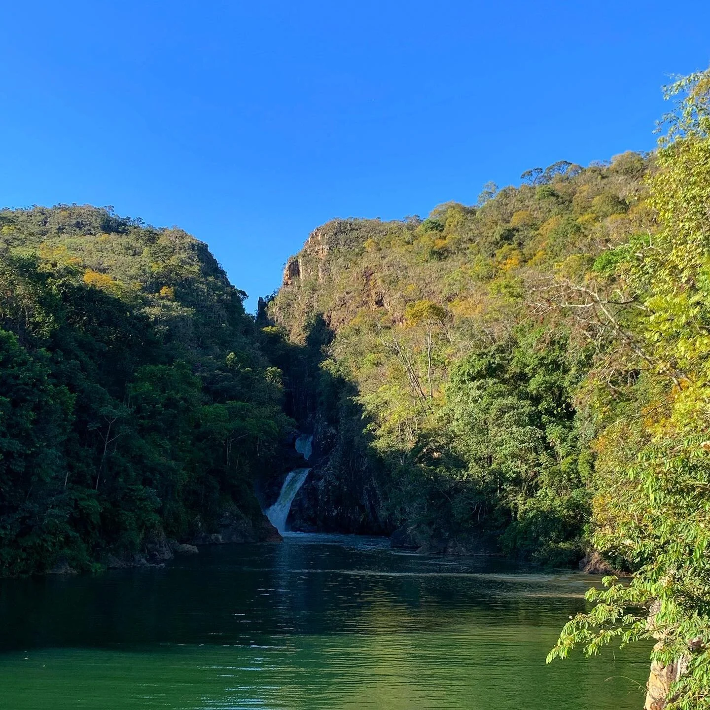Um dos passeios de barco mais legais na Represa de Peixoto 🌊☀️ 
.
.
.
.
.
#sitiocaju #delfinopolis #paz #minasgerais #cahcoeira #represa #arvores #barco #moomba #moombaboats #lotesavenda