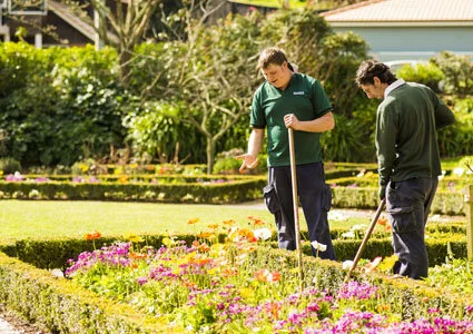 Resources - Amenity.jpg