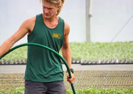 Resources - Nursery.jpg