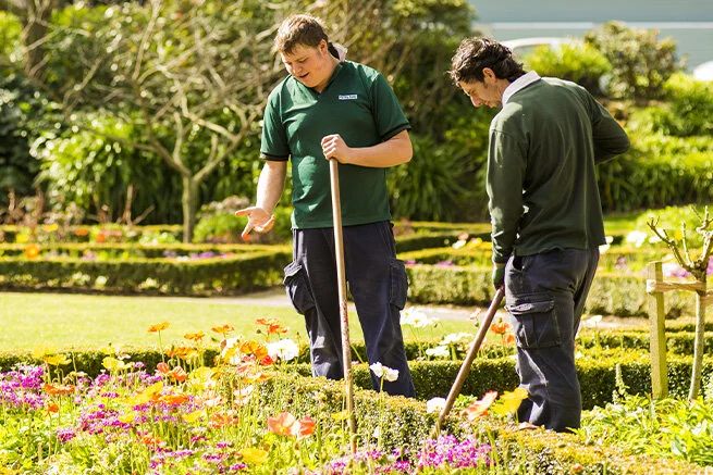 Homepage Image 02.jpg