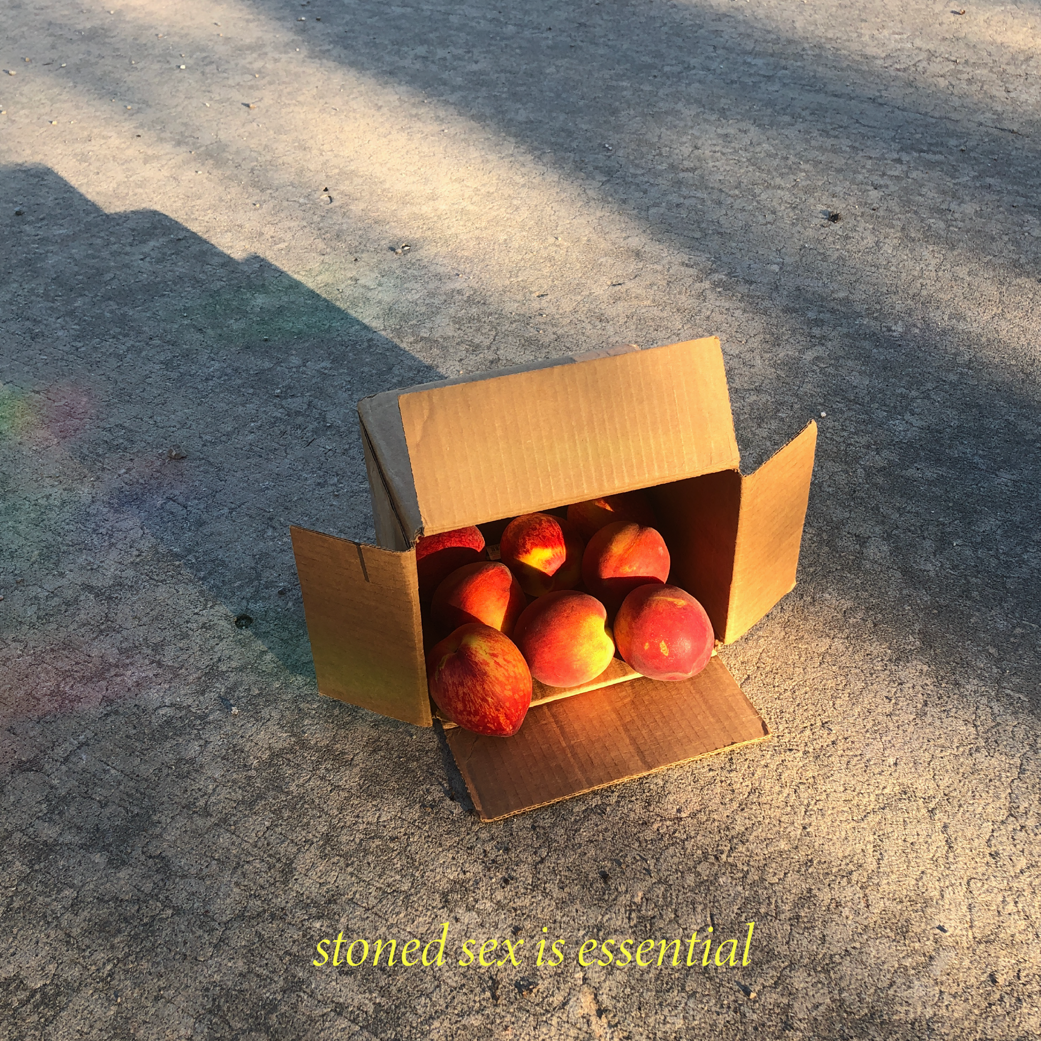 stoned_sex_-02.png