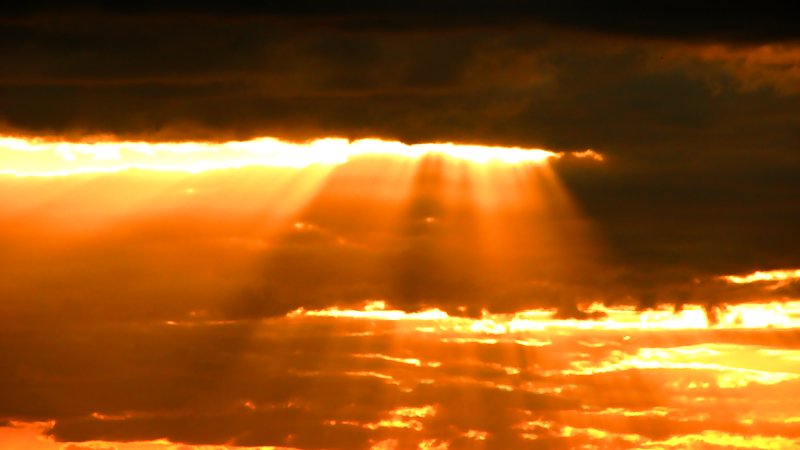 A7654DBF-9AA1-46A6-B67C-61CCBC298B08.jpeg