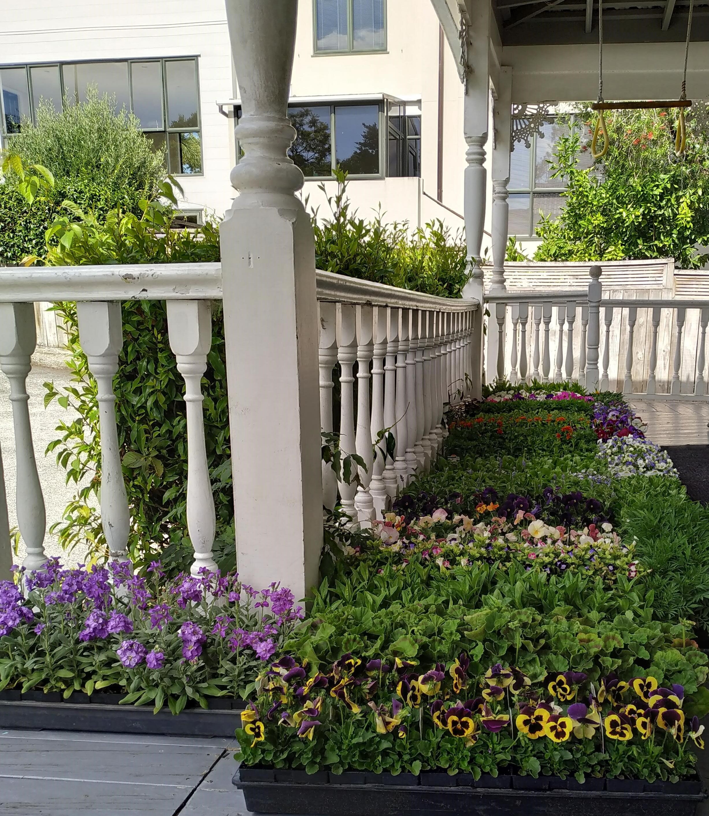 Plant Sale March 2020.jpg