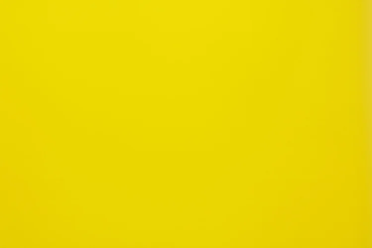 Fees and Information — Mt Hobson Middle School