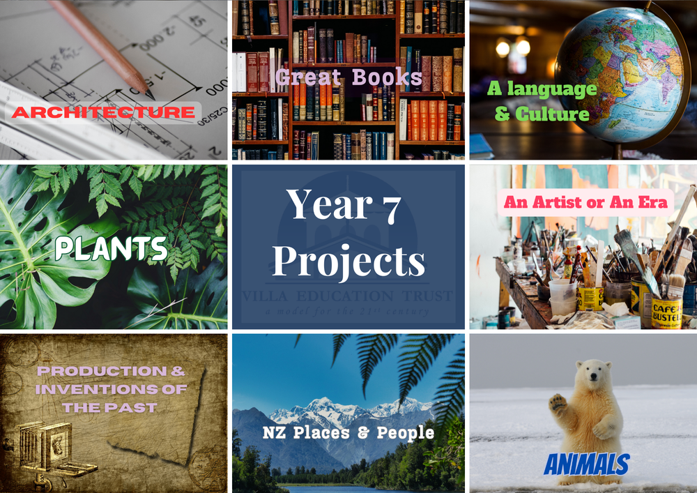 Project Based Curriculum — Mt Hobson Middle School