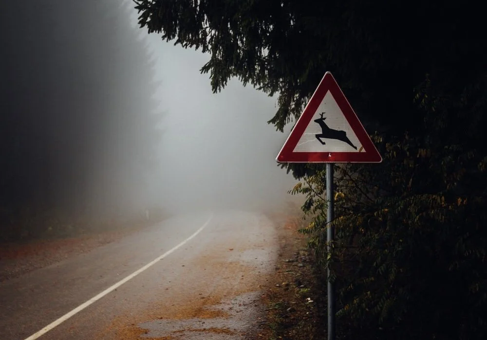 Twelve Strategies for Navigating Sexual Assault Triggers