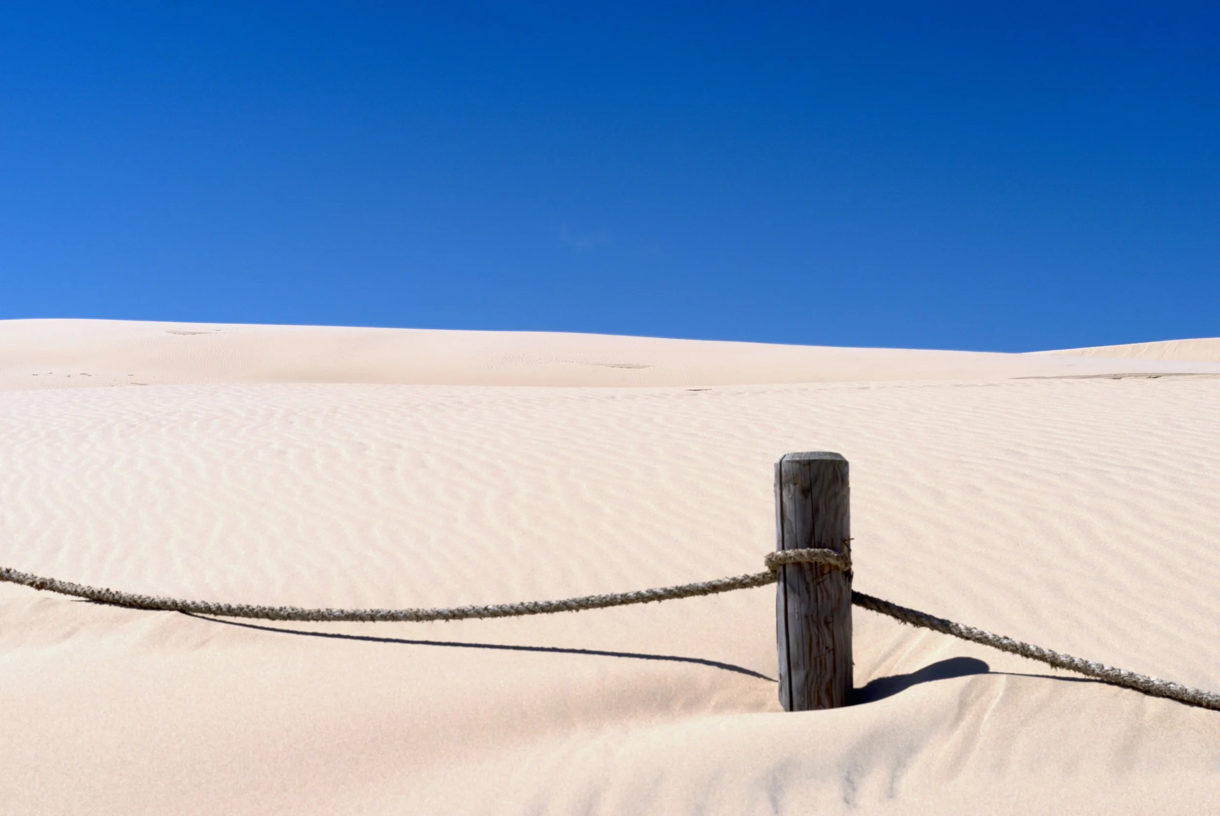 Setting Boundaries with Abusive Family Members: A 7-Step Path to Radical Self-Respect