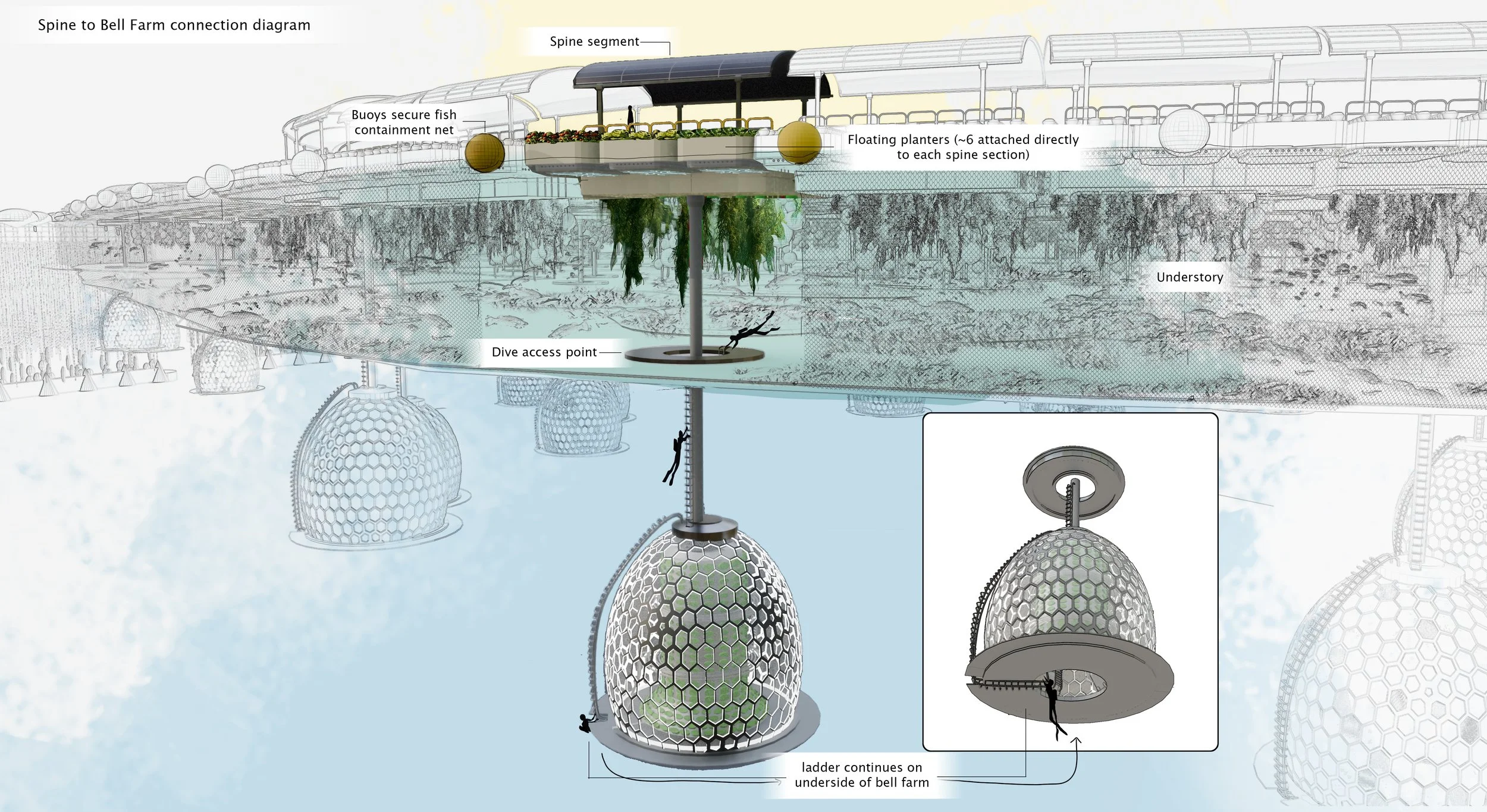 spine_to_bell_farm_diagram.jpg