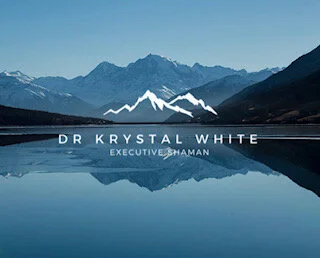 THE EXECUTIVE SHAMAN - PASSION POWER PARTNERSHIPS
