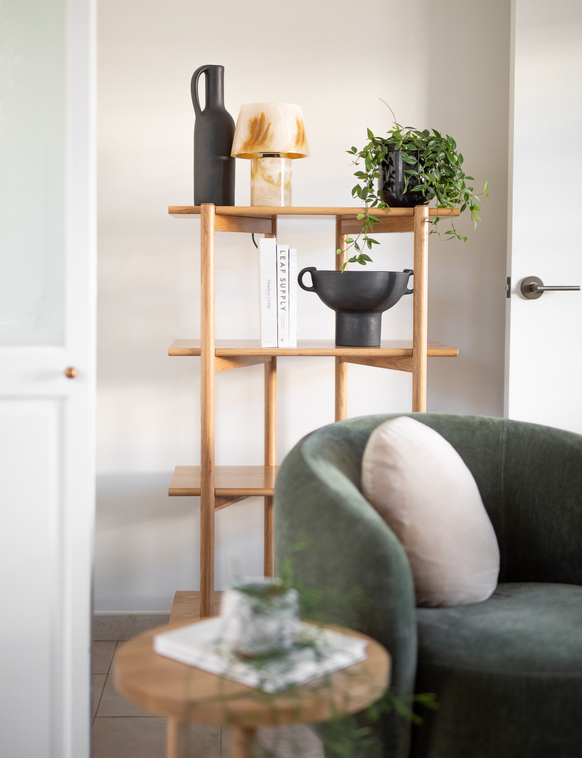 Book Shelves living.jpg