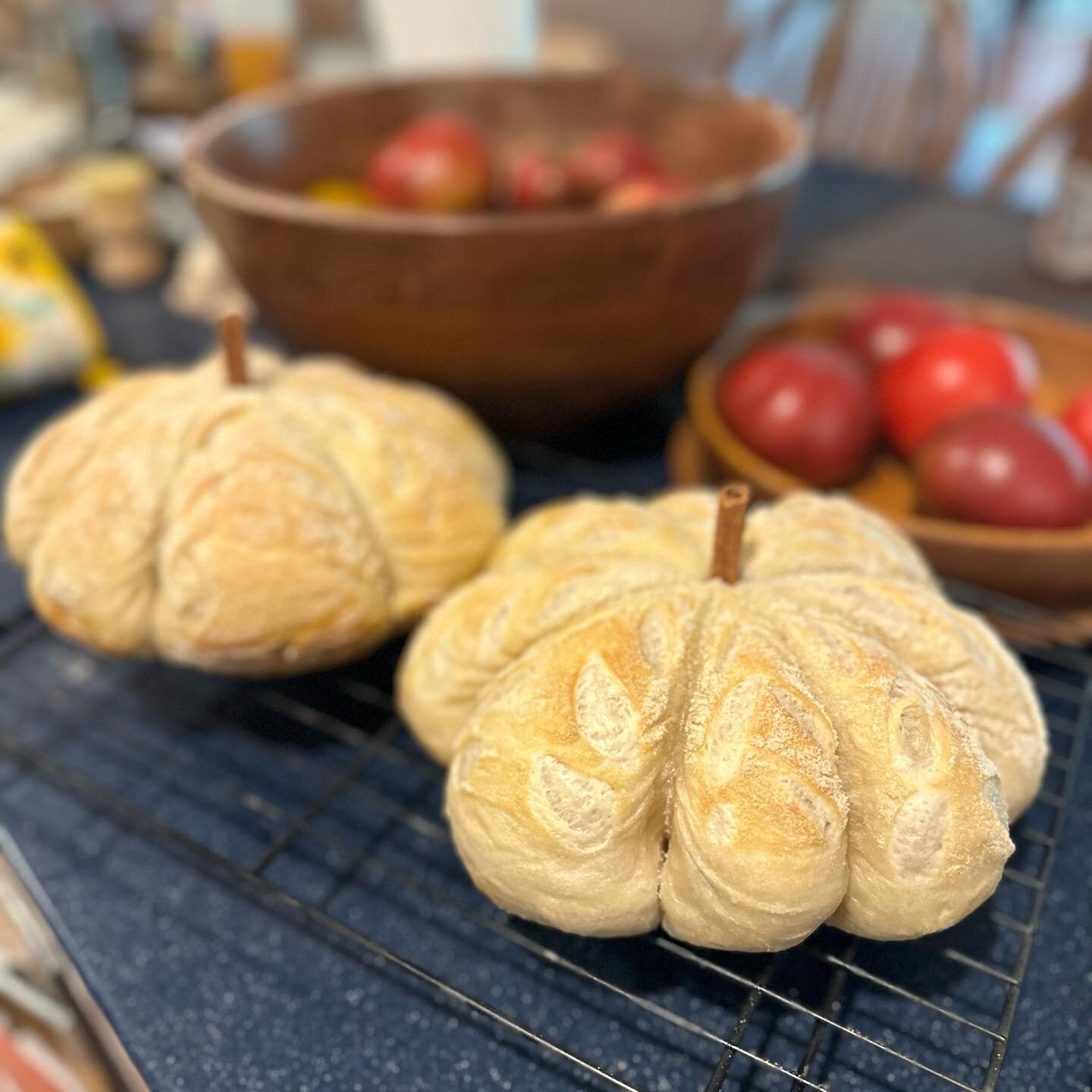 Sorry to double post but these sourdough pumpkins turned out cuter than I could have imagined 😩 I will have 2 loaves tomorrow at the market, but will have more next week! Do we love them? 🎃 #pumpkinsourdough #sourdoughbaking #sourdoughbreads #cotta