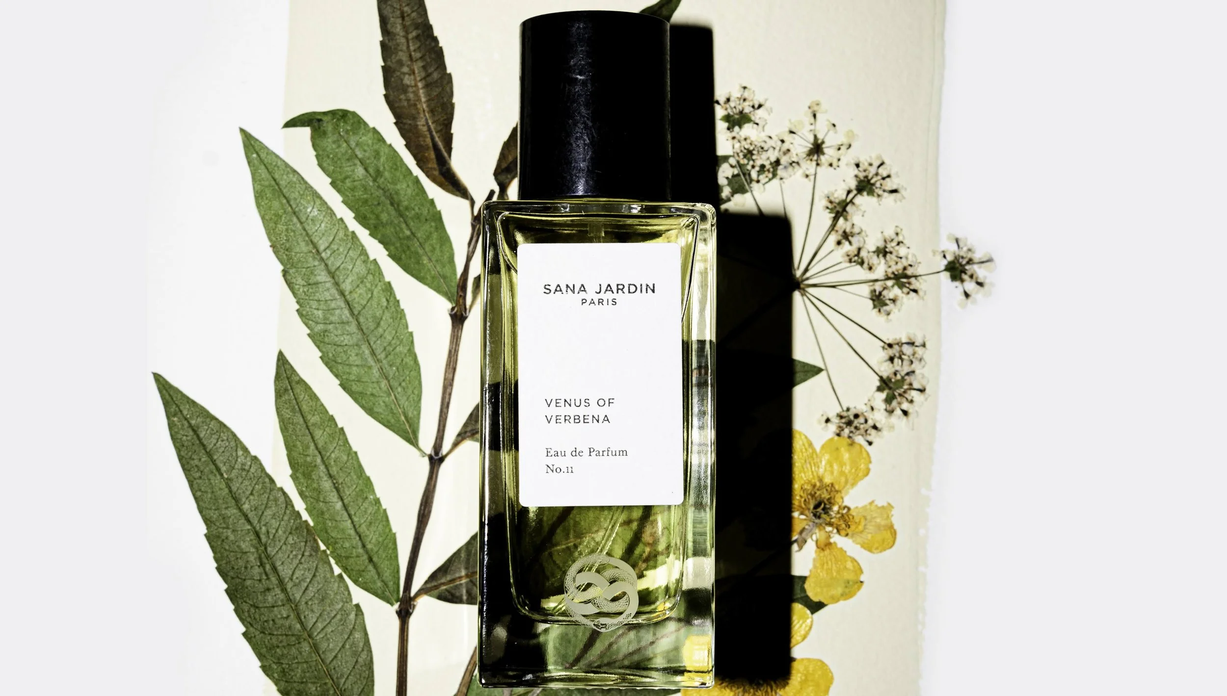 DSC_5683-Edit copy.jpg