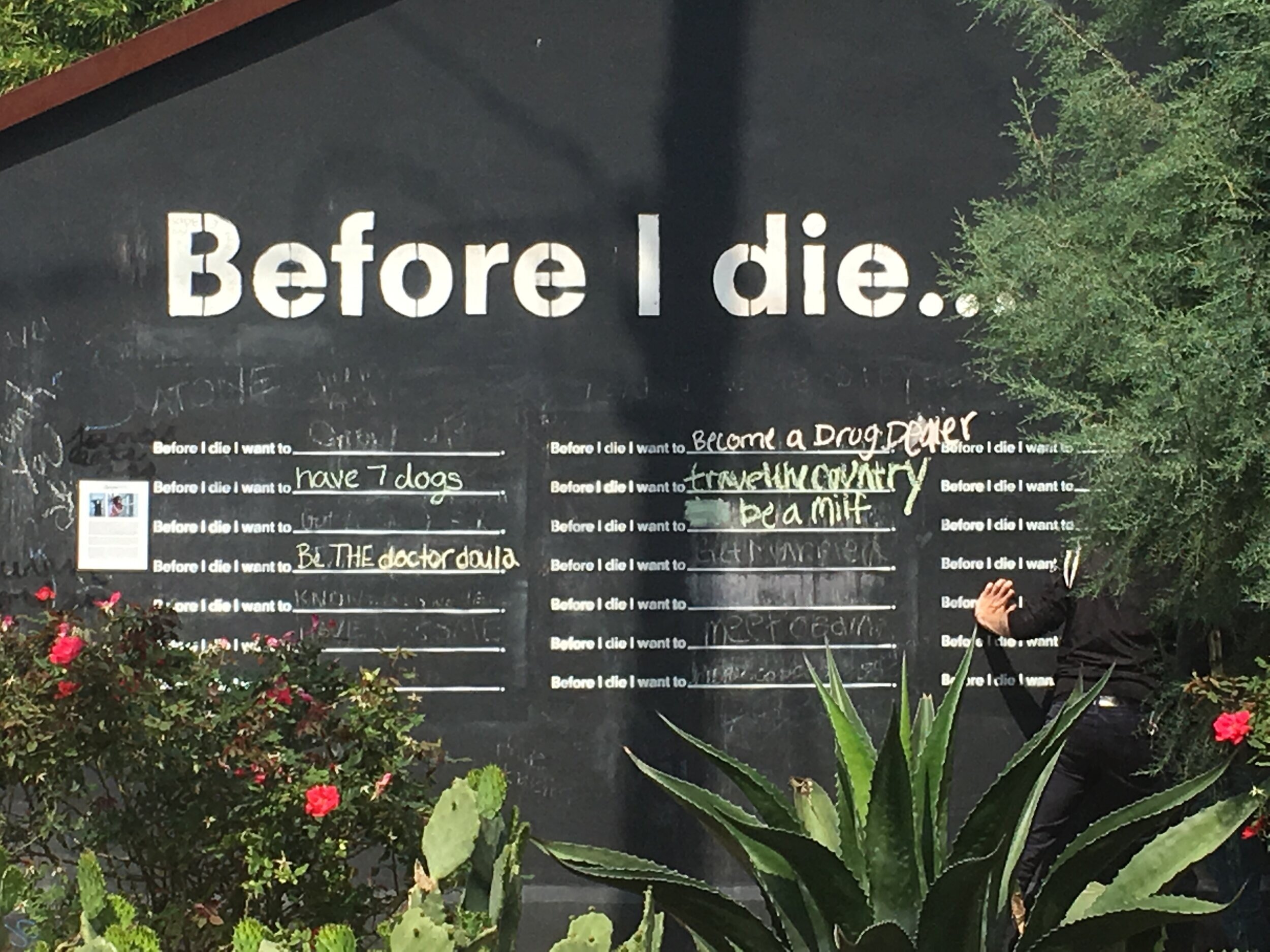 Before I die....