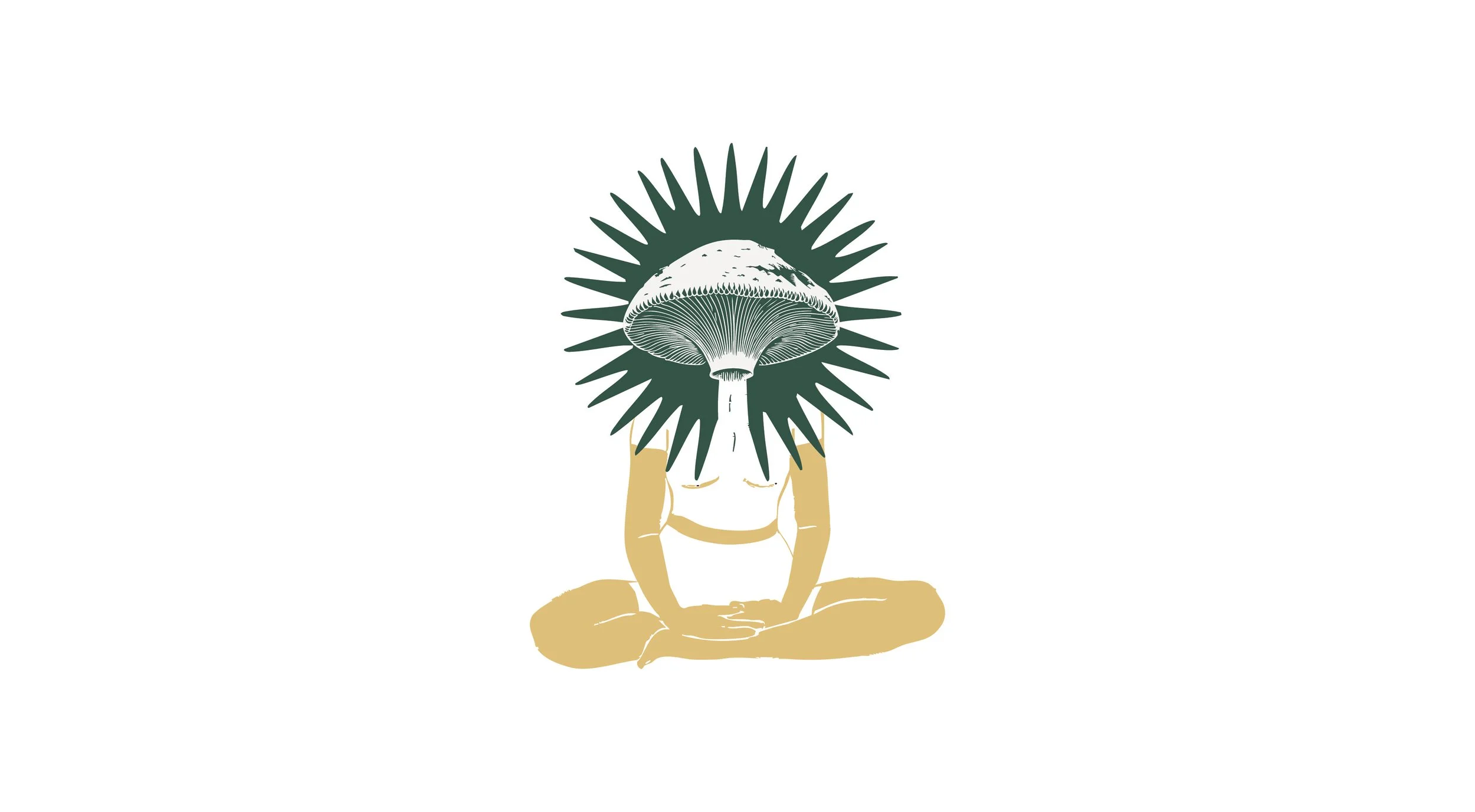 REGENERO MUSHROOM-03.jpg