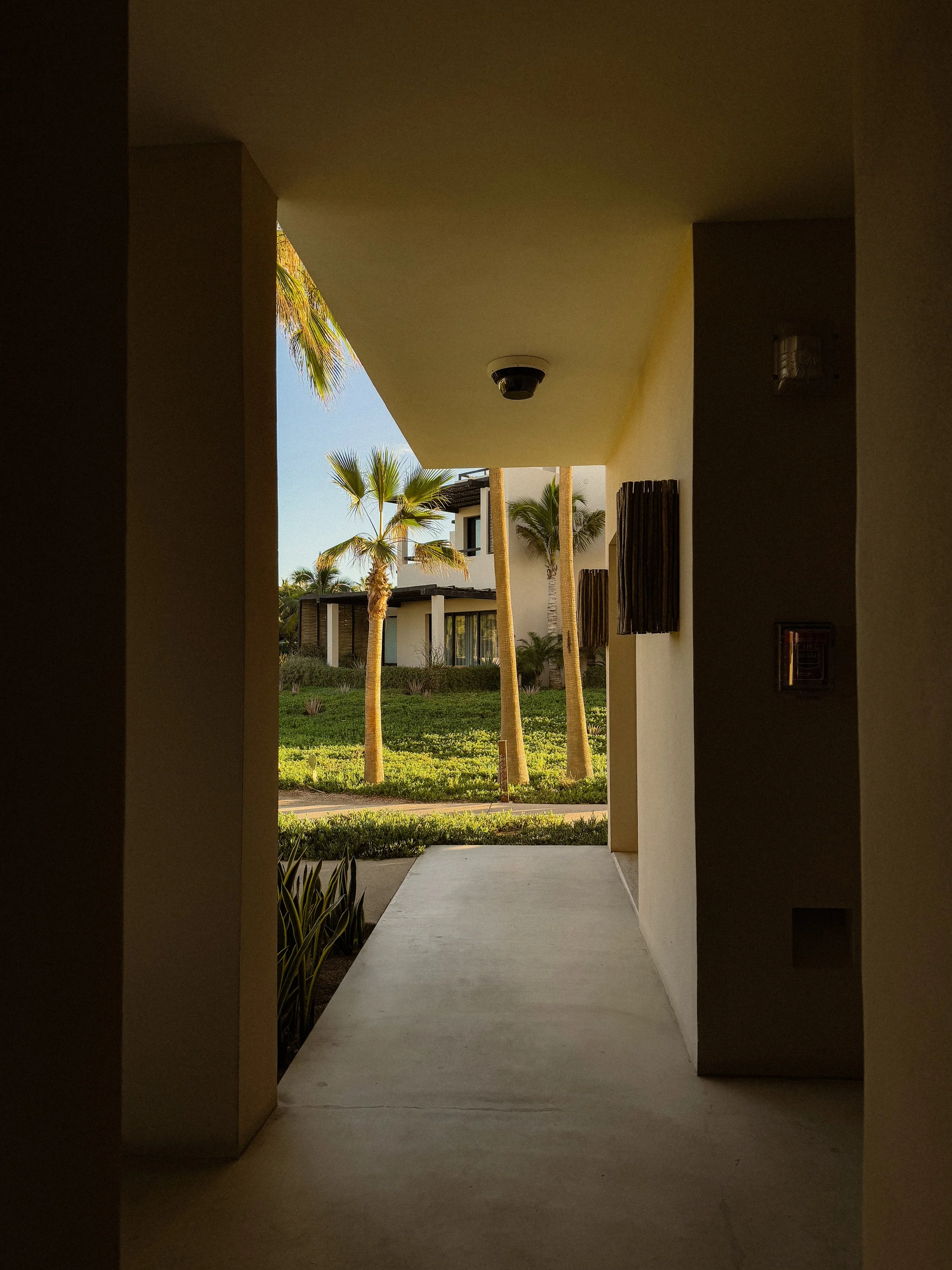 Kimpton Mas Olas x Amanda Louis