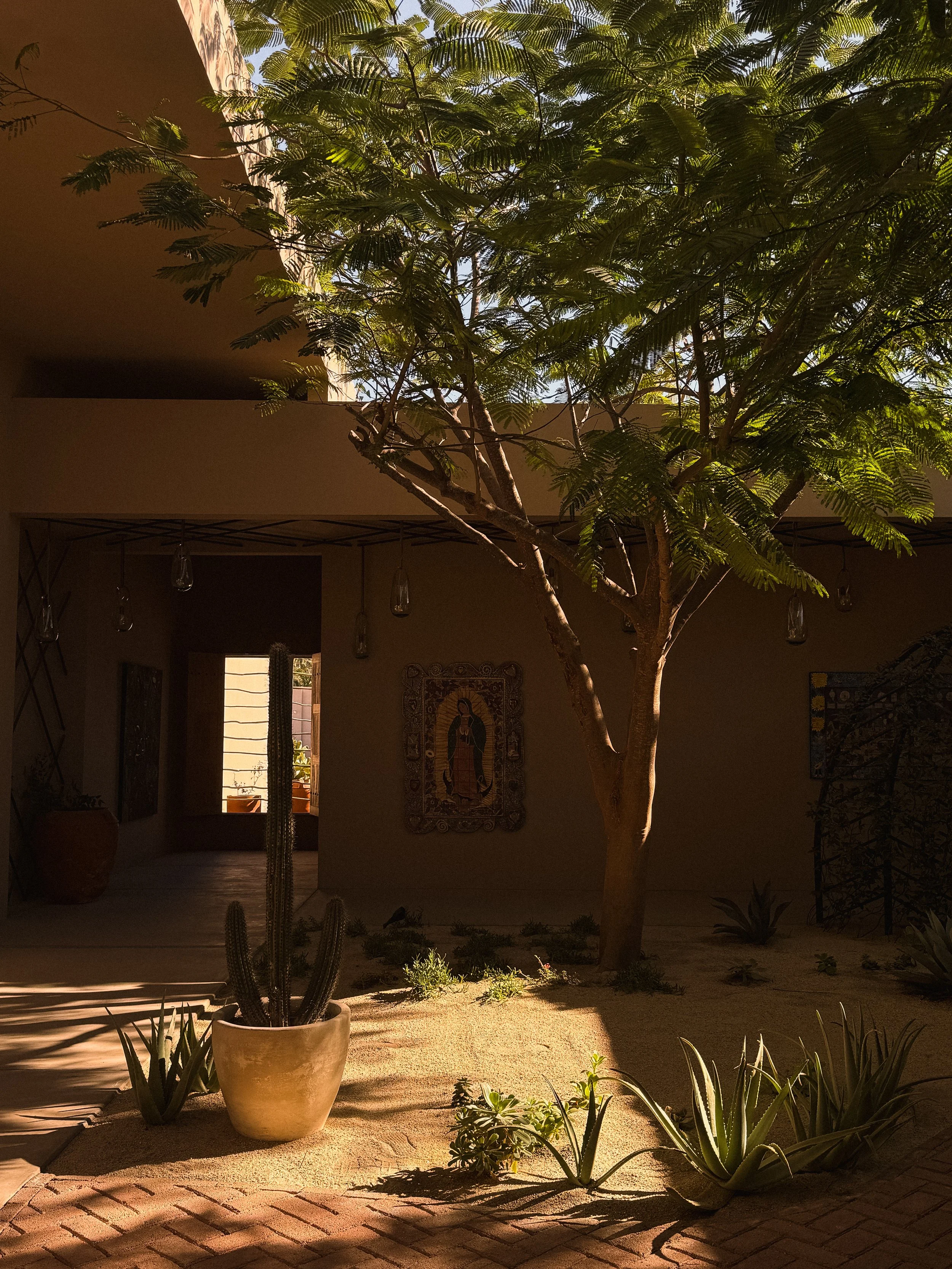 Kimpton Mas Olas x Amanda Louis