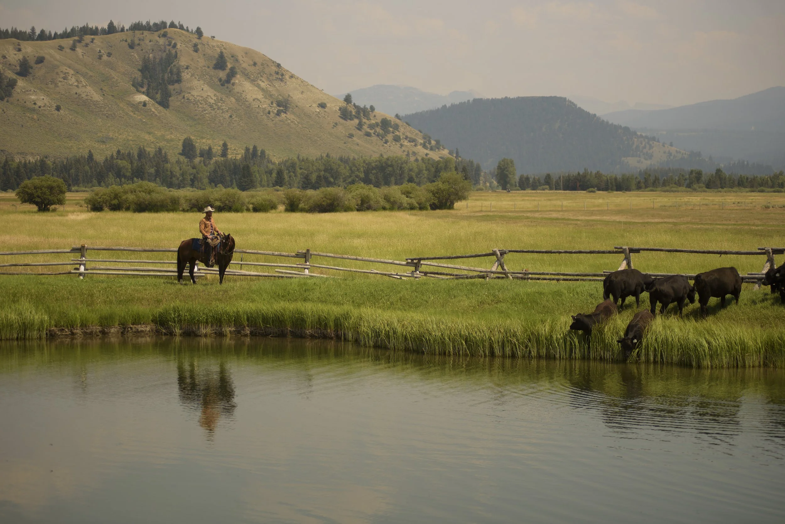 Line of Trade F/W x Amanda Louis