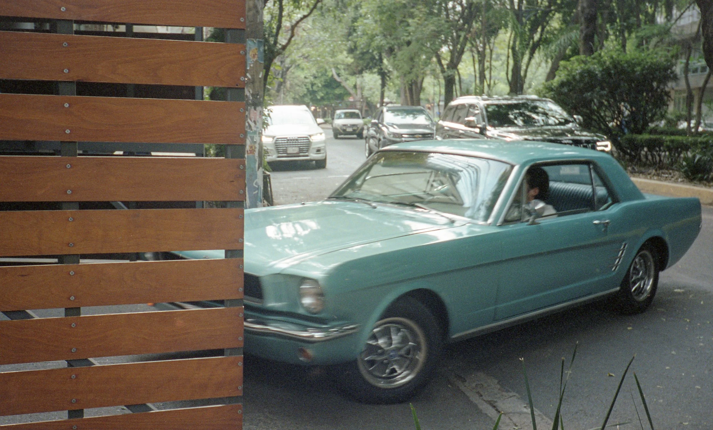 Mexico x Amanda Louis