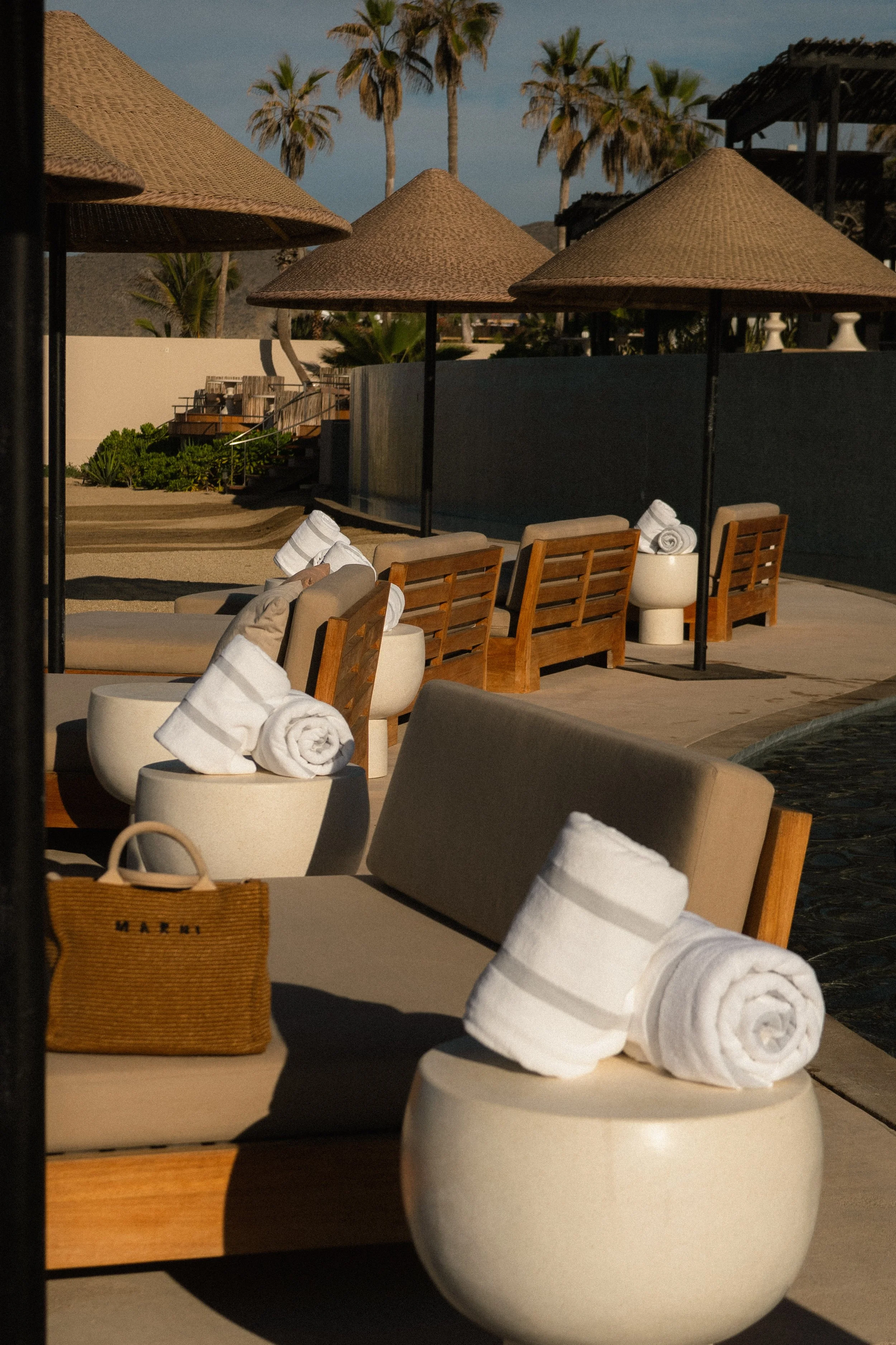 Kimpton Mas Olas x Amanda Louis