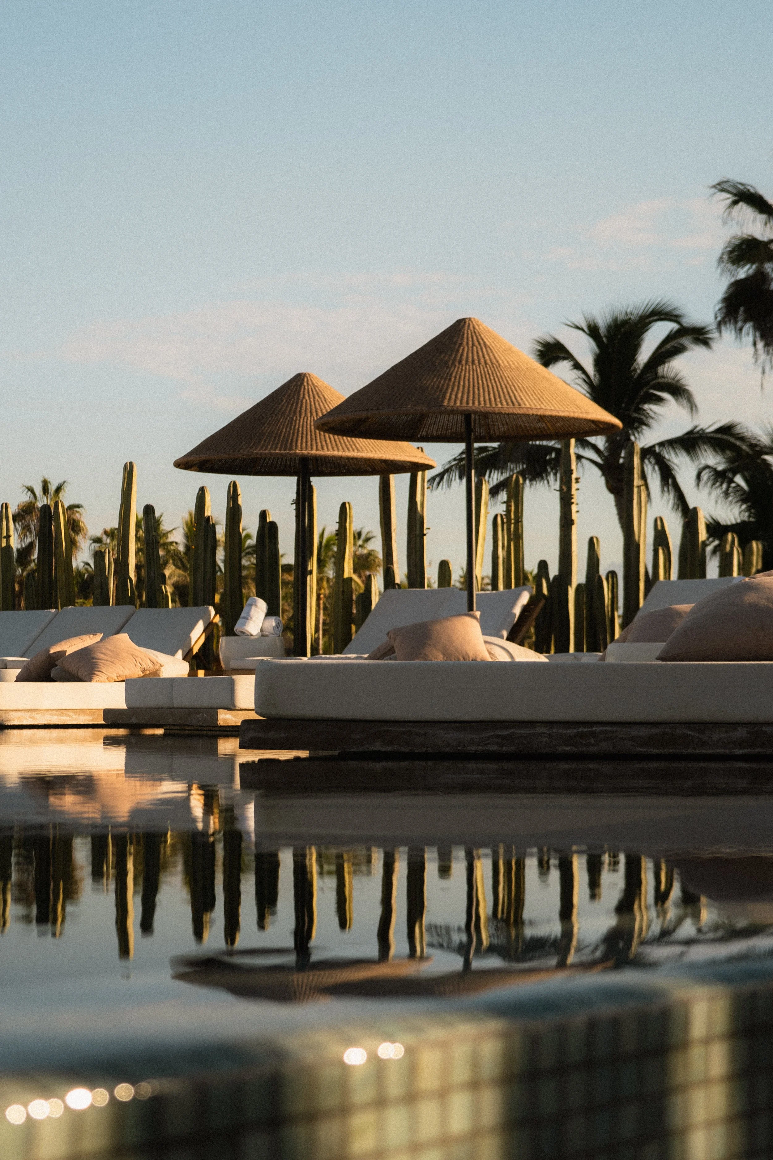 Kimpton Mas Olas x Amanda Louis