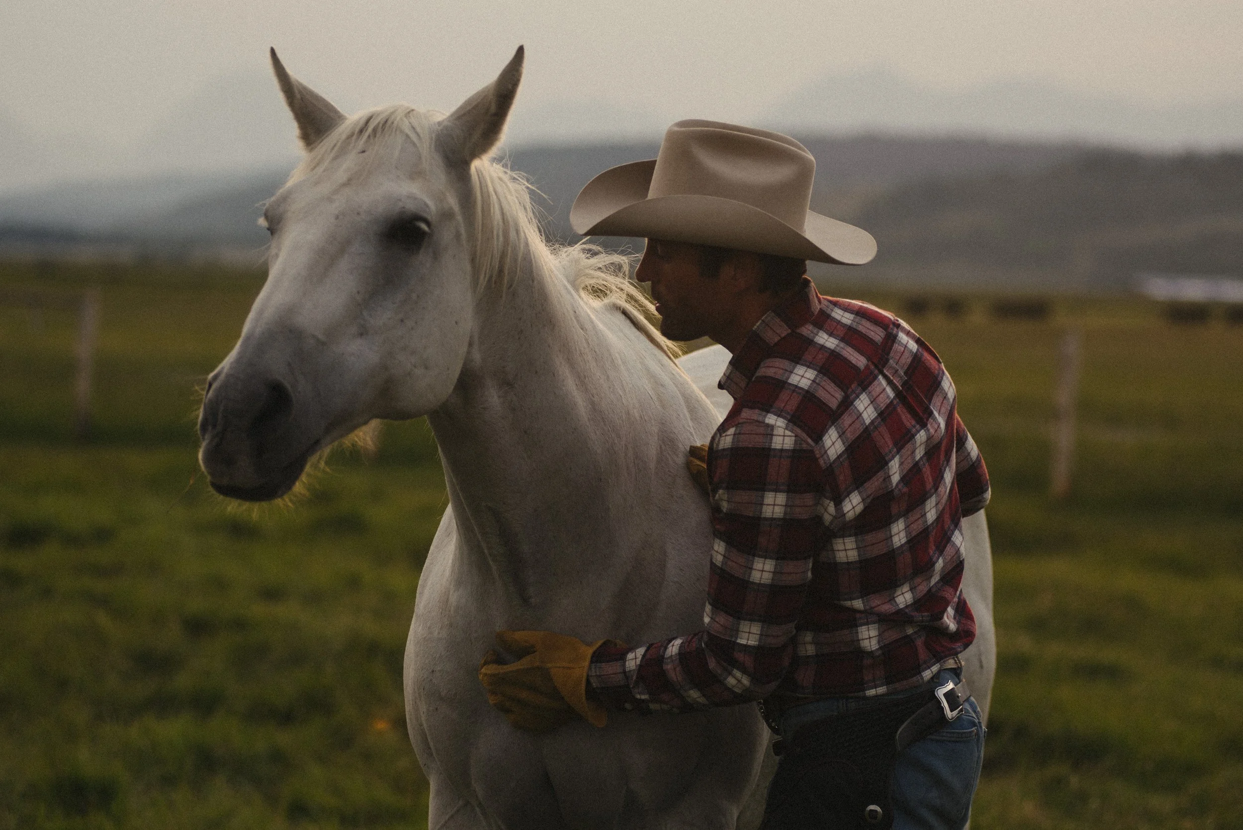 Line of Trade F/W x Amanda Louis