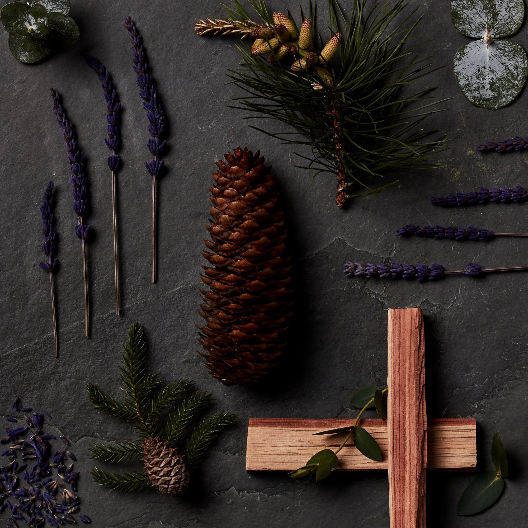 Fill Mill x Amanda Louis