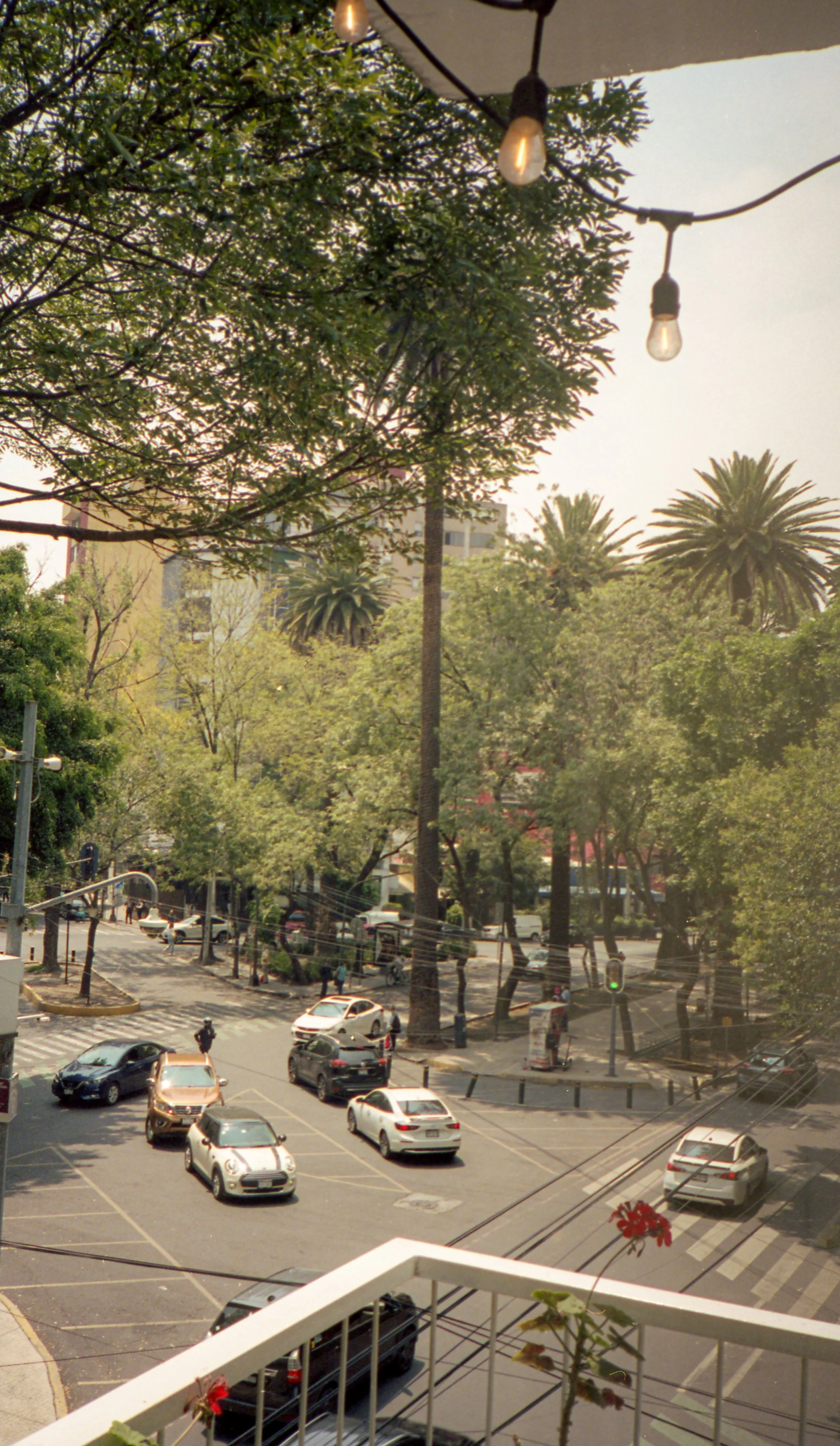 Mexico x Amanda Louis