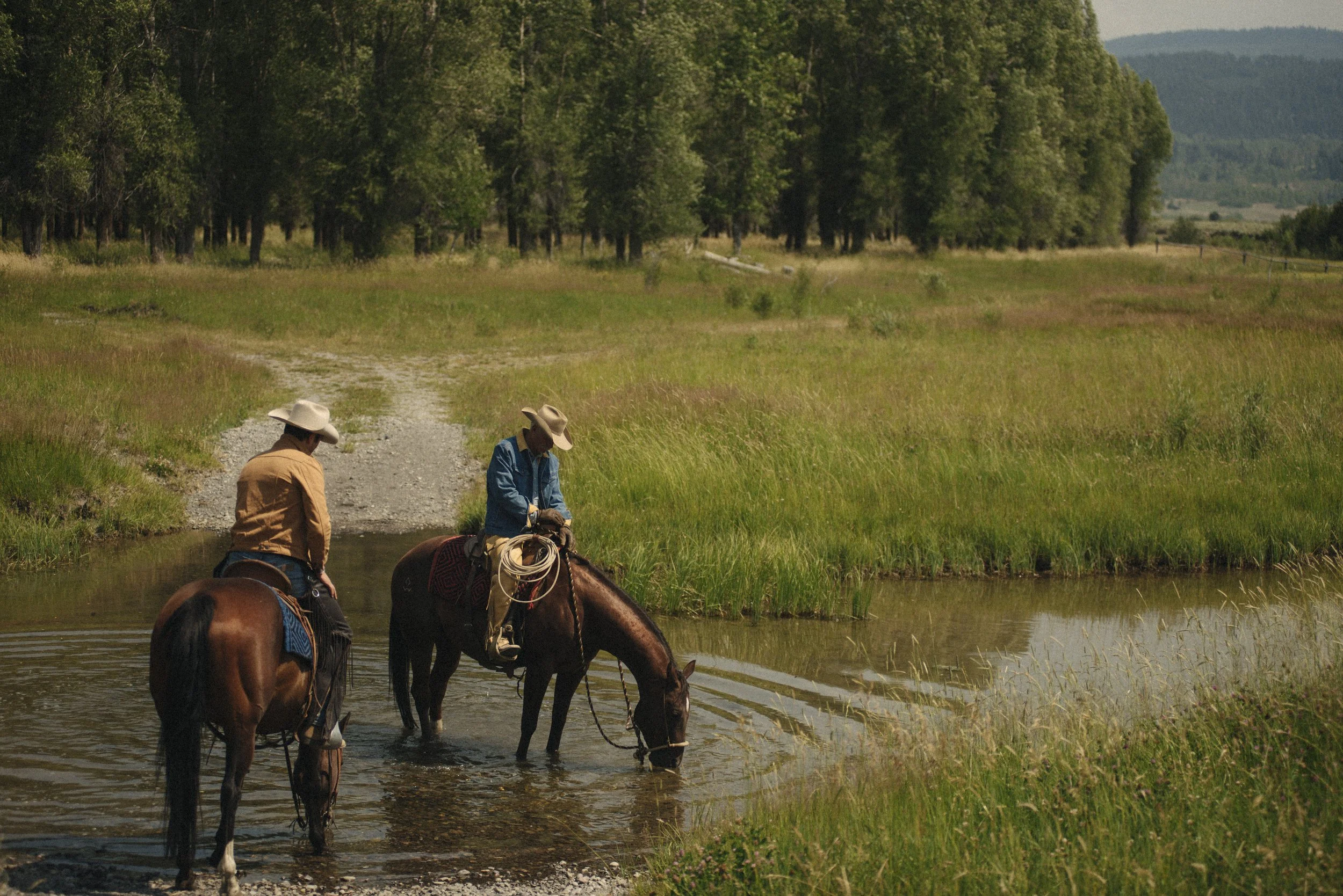 Line of Trade F/W x Amanda Louis