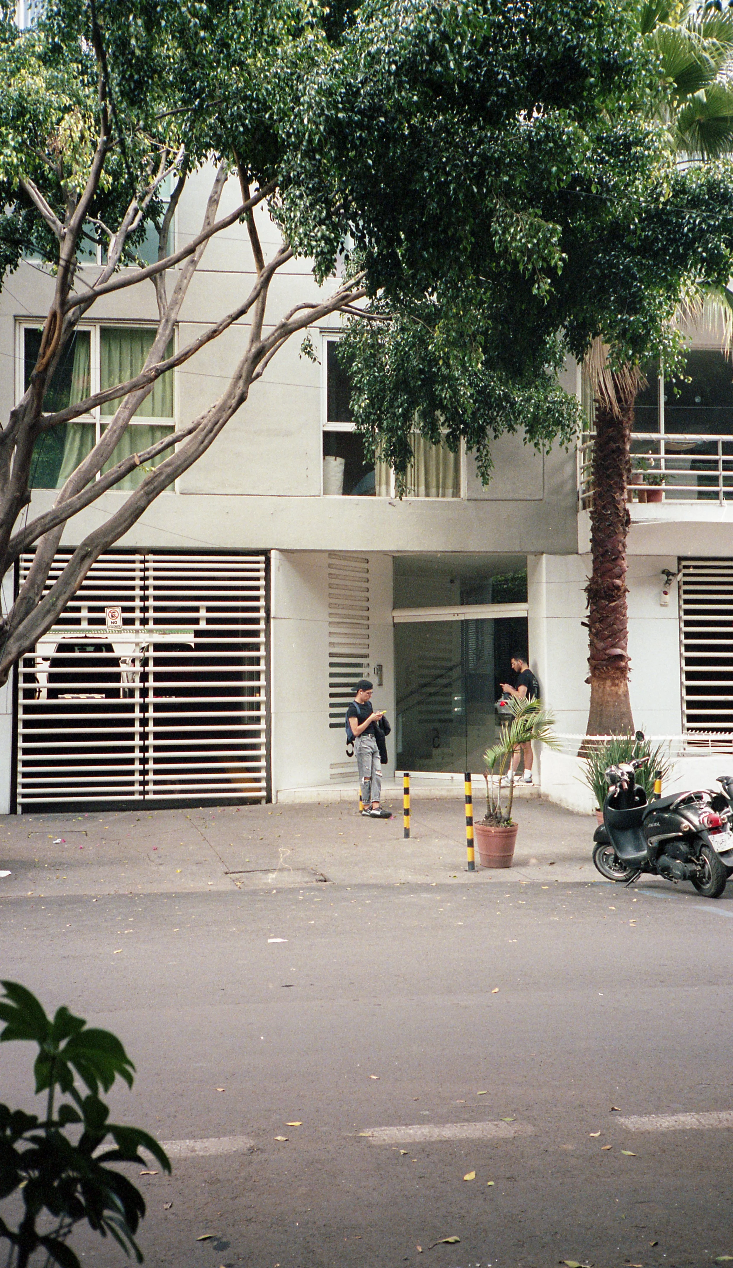 Mexico x Amanda Louis