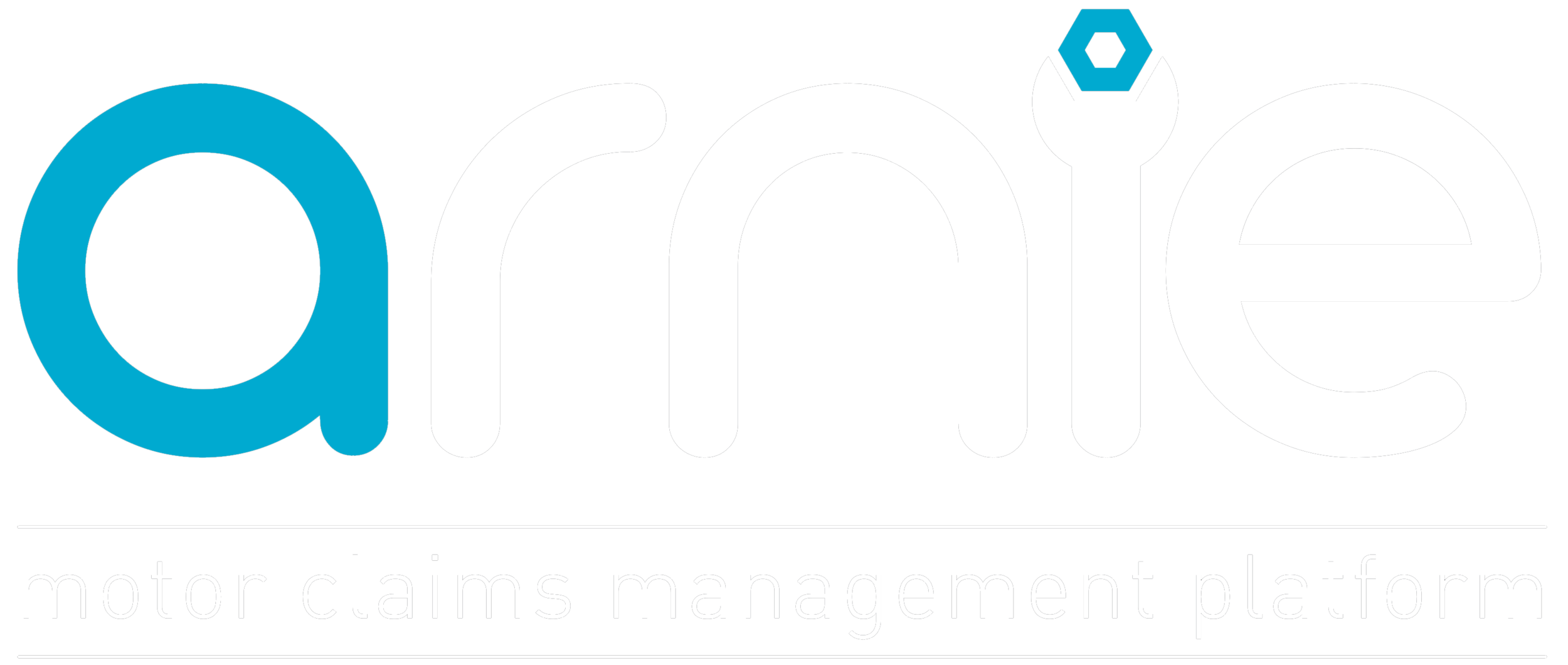 Arnie Motor Claims Management Software