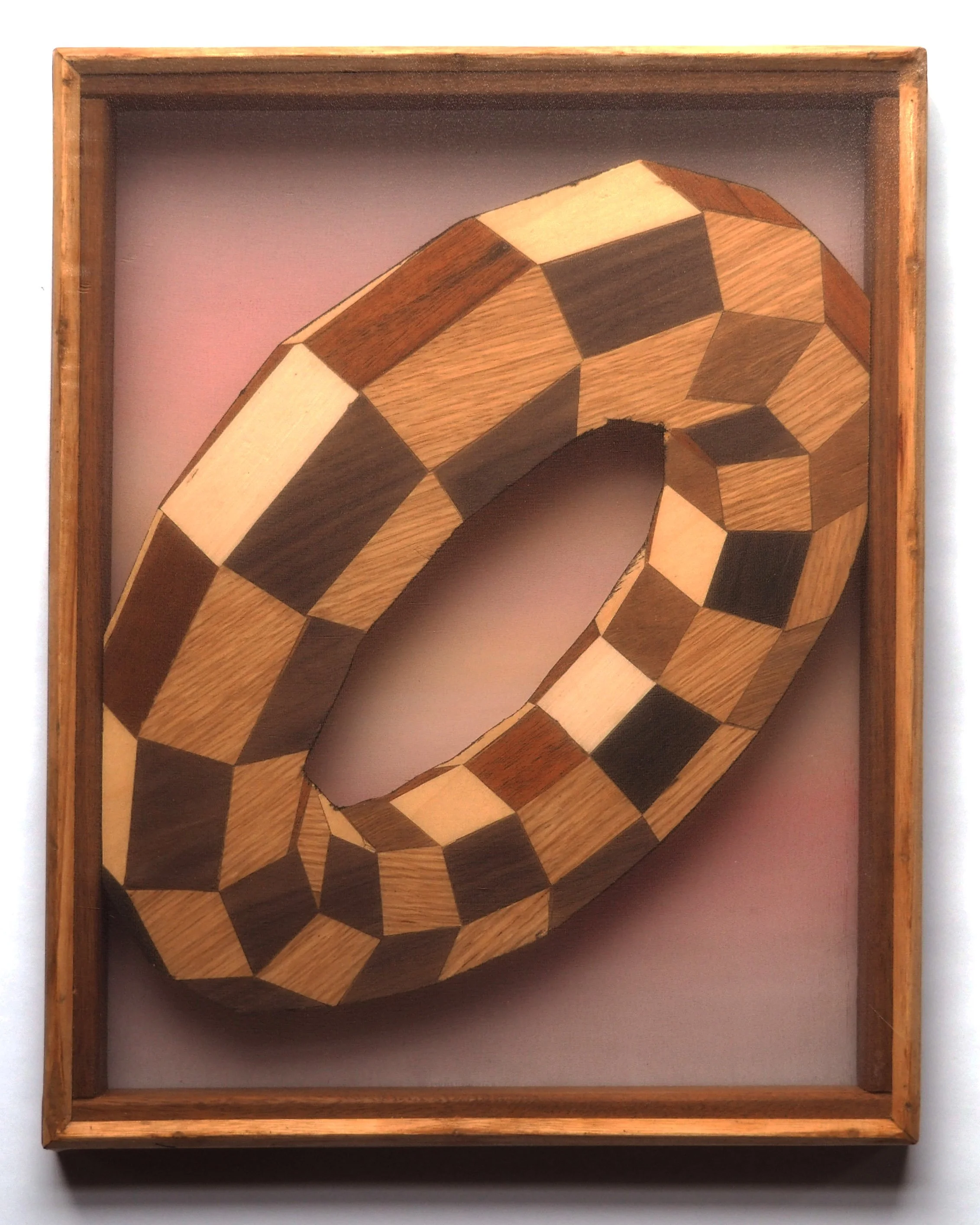 'Transit,' 2025, Oil on organza, timber inlay, ash and ironbark support. 35 x 44.5cm