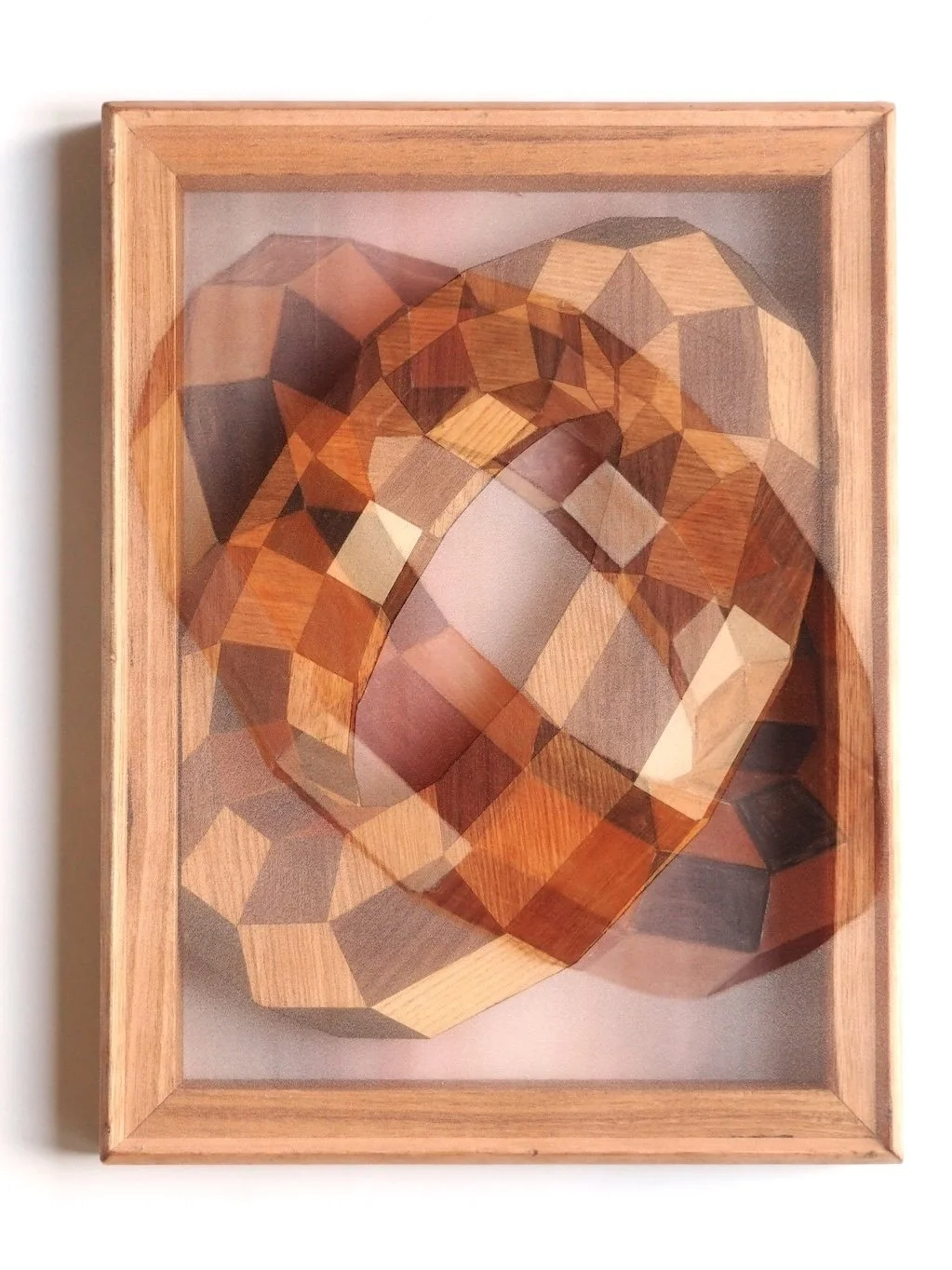 'Trace,' 2025, Oil on organza, timber inlay, ash and rose gum support, 46 x 34.5 cm.