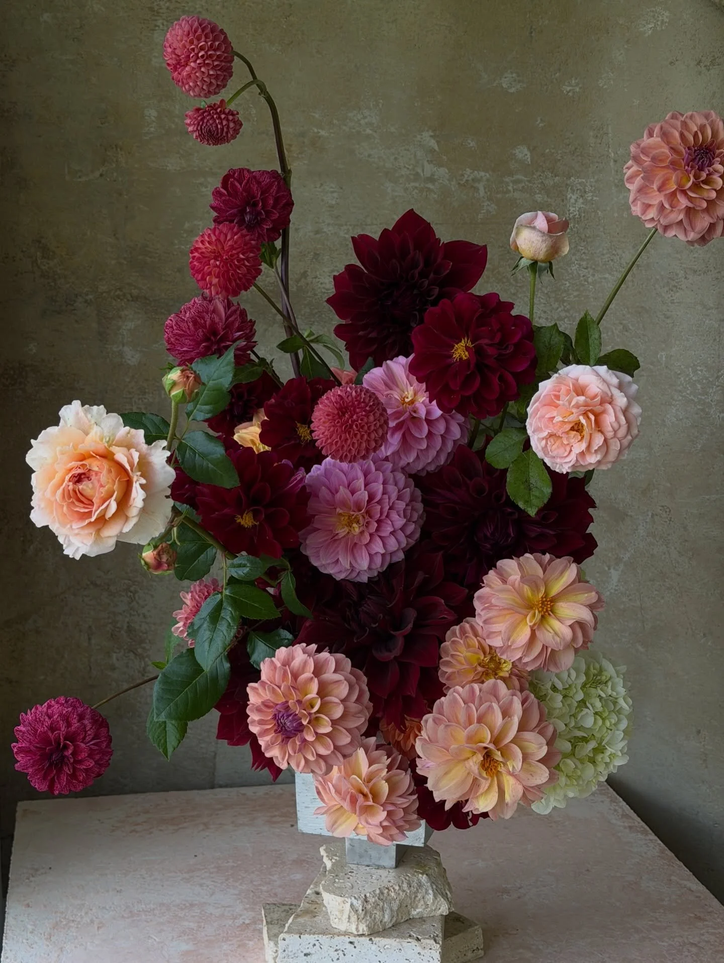 When the dahlias are flushing in perfect colour combinations 🥀Dahlias and Abraham Darby roses from my studio garden, hydrangea from the markets in my small ixia vase.