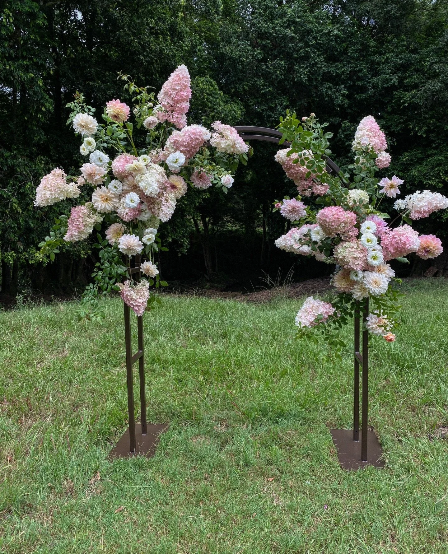 Late summer yummies 🕊️