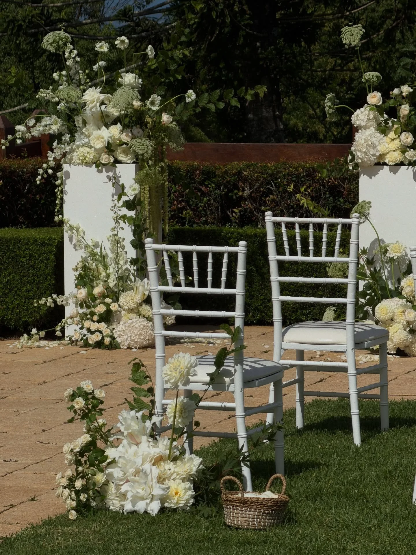 Florals bathed in some mid-afternoon sun for Bree &amp; Cade 🕊️