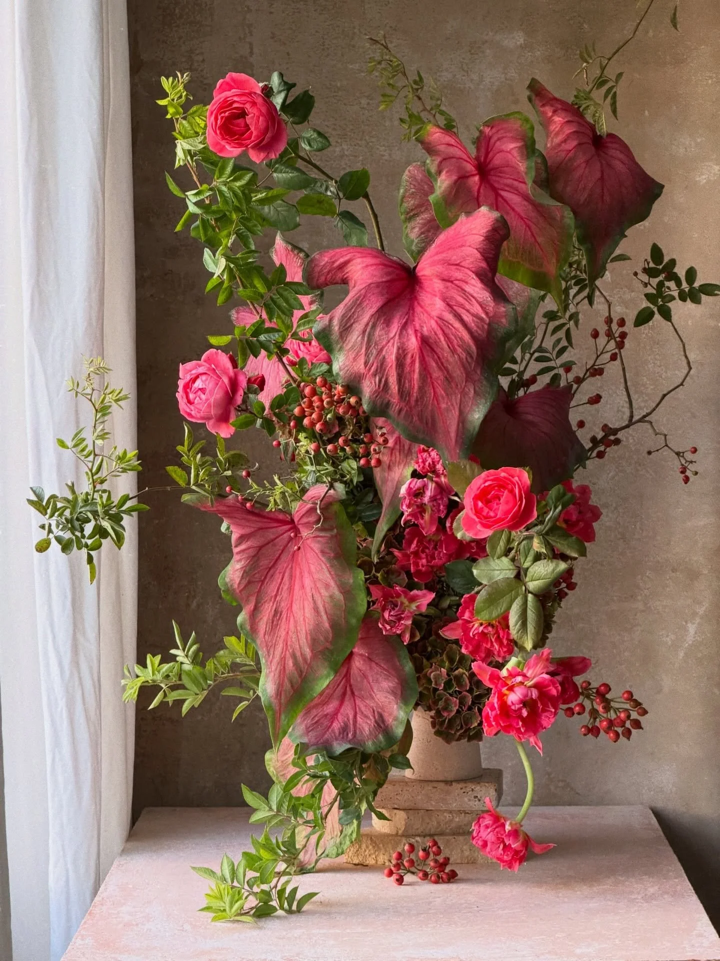 Caladiums, rose hips &amp; other things.