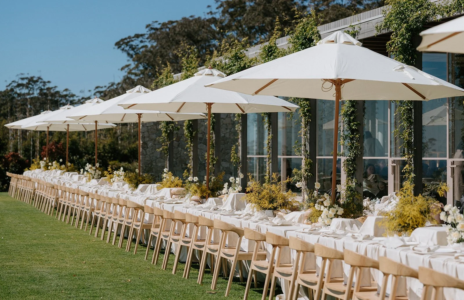 The Dairy Ravensbourne, Poesia Studio, Modern Wedding Flowers, Ravensbourne Wedding, Toowoomba Wedding Flowers, Event Flowers, VFIT, VFIT Event, Yellow Flowers, En Masse Wattle, En Masse Daffodils, Long Table Lunch, Long Table wedding reception, Summ