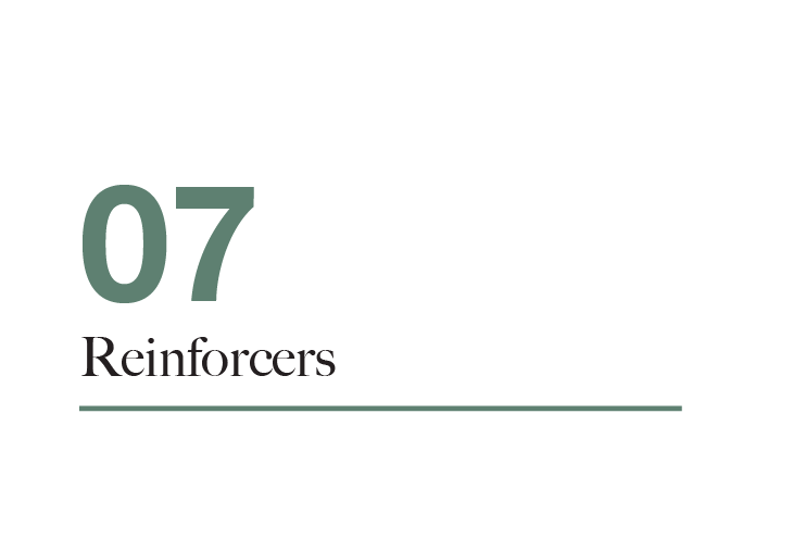 craft connect gallery__07_Reinforcers.png