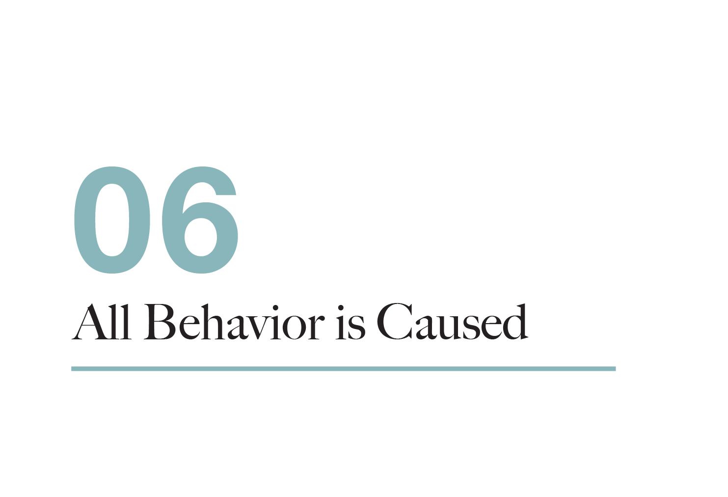 craft connect gallery__06_All Behavior is Caused.png