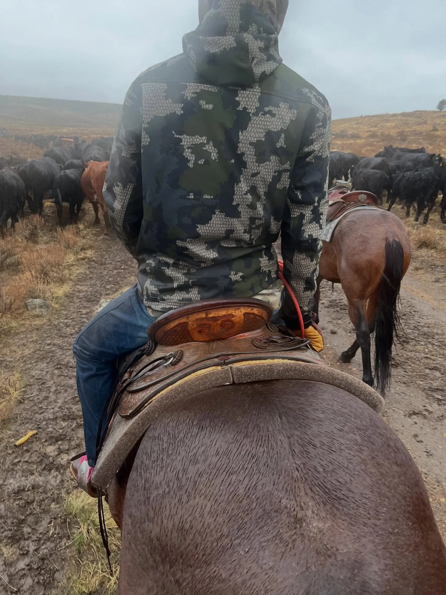 We had a busy week and weekend of gathering cows. Today started out real nice and then we got caught in a wicked wind and rain storm. We ended up having to cut the day short since we were all ringing wet. It&rsquo;s definitely starting to feel like f